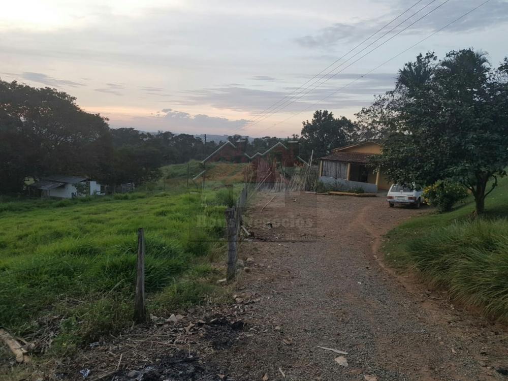 Comprar Rural / Fazenda em São José do Rio Pardo R$ 1.200.000,00 - Foto 5
