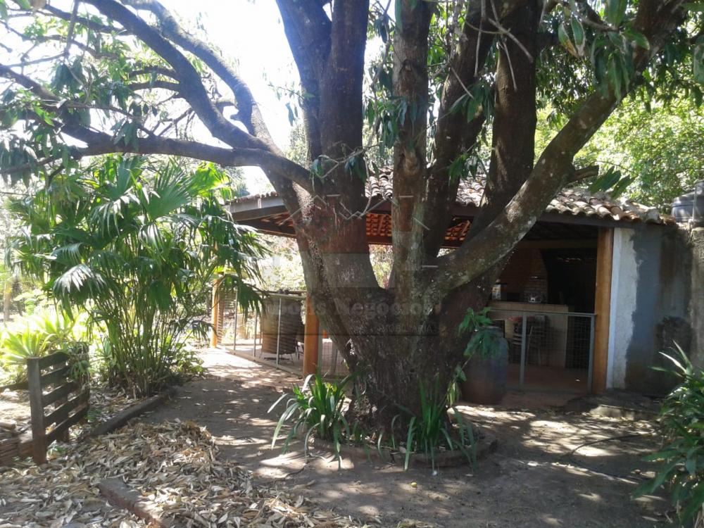 Comprar Rural / Chácara em Ribeirão Preto R$ 500.000,00 - Foto 12