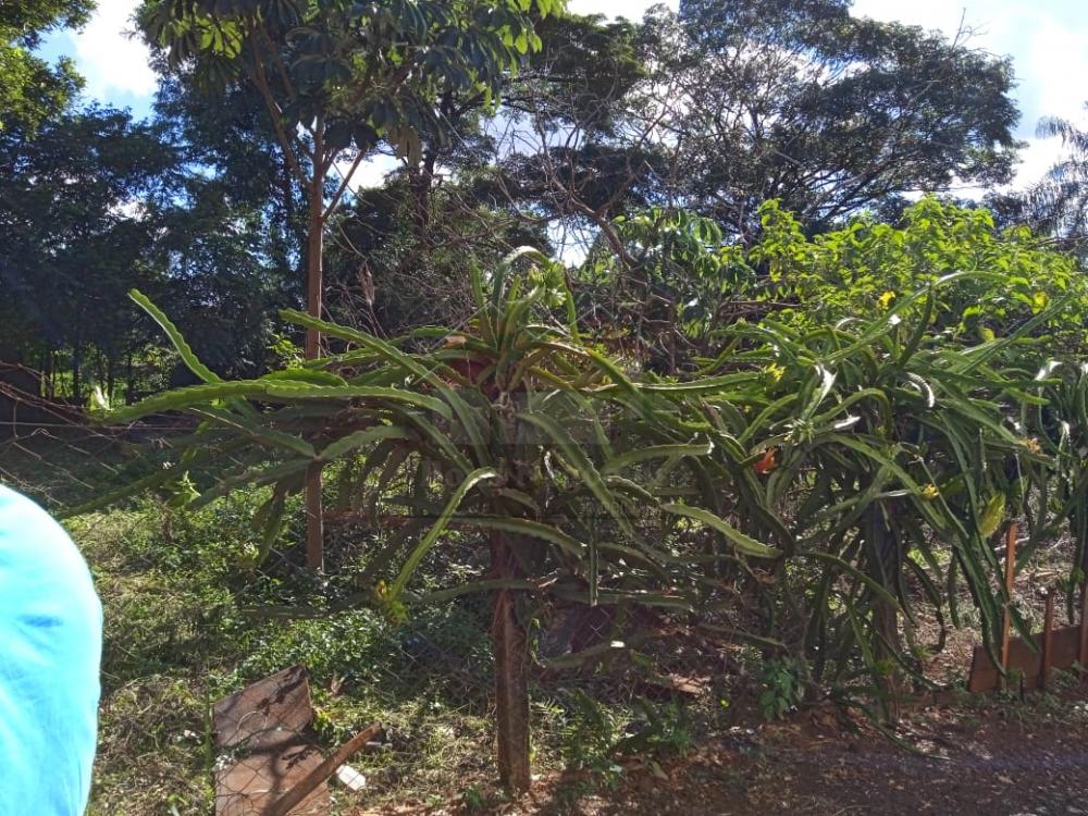 Alugar Rural / Chácara em Ribeirão Preto R$ 4.000,00 - Foto 14