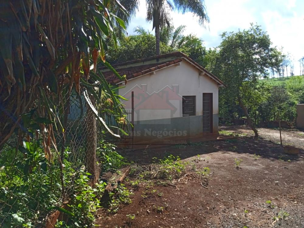 Alugar Rural / Chácara em Ribeirão Preto R$ 4.000,00 - Foto 11