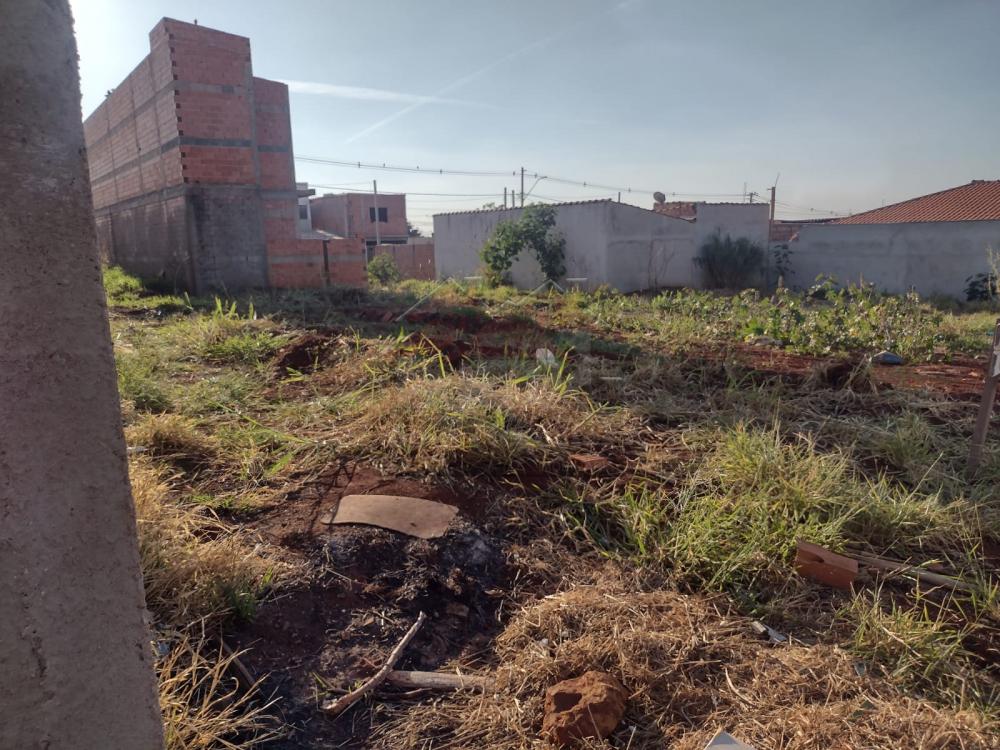 Comprar Terreno / Padrão em Ribeirão Preto R$ 80.000,00 - Foto 4