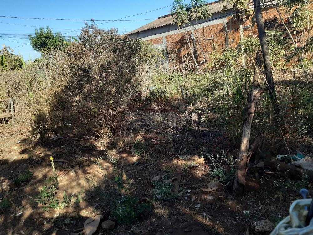 Comprar Terreno / Padrão em Ribeirão Preto R$ 85.000,00 - Foto 3