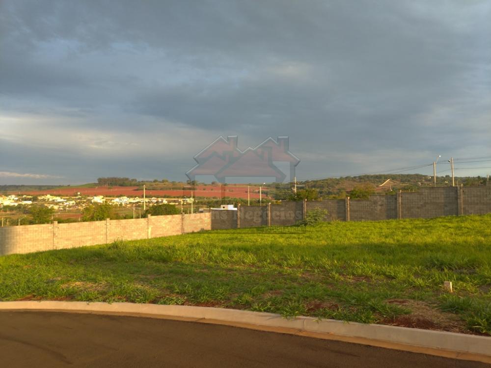 Comprar Terreno / Área em Ribeirão Preto R$ 75.000,00 - Foto 3