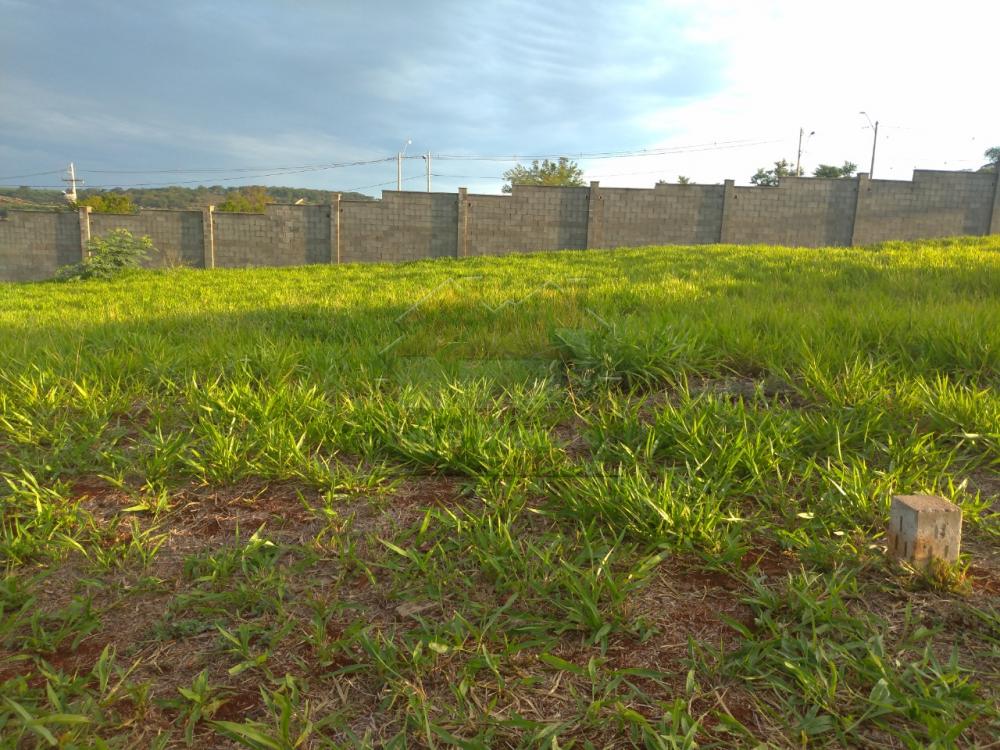 Comprar Terreno / Área em Ribeirão Preto R$ 75.000,00 - Foto 4