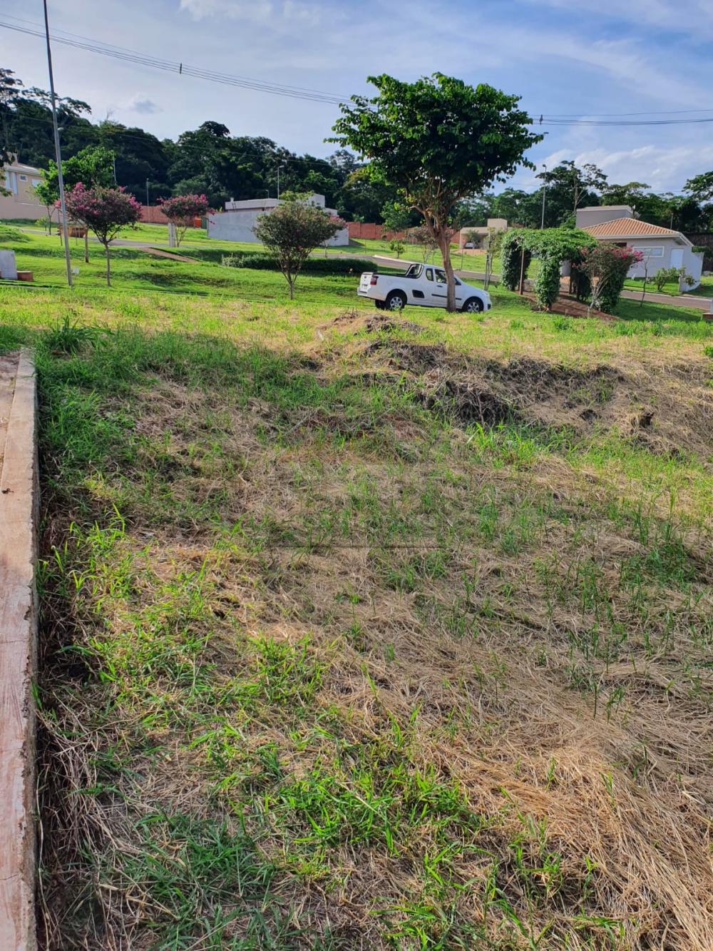 Comprar Terreno / Padrão em Ribeirão Preto R$ 210.000,00 - Foto 1