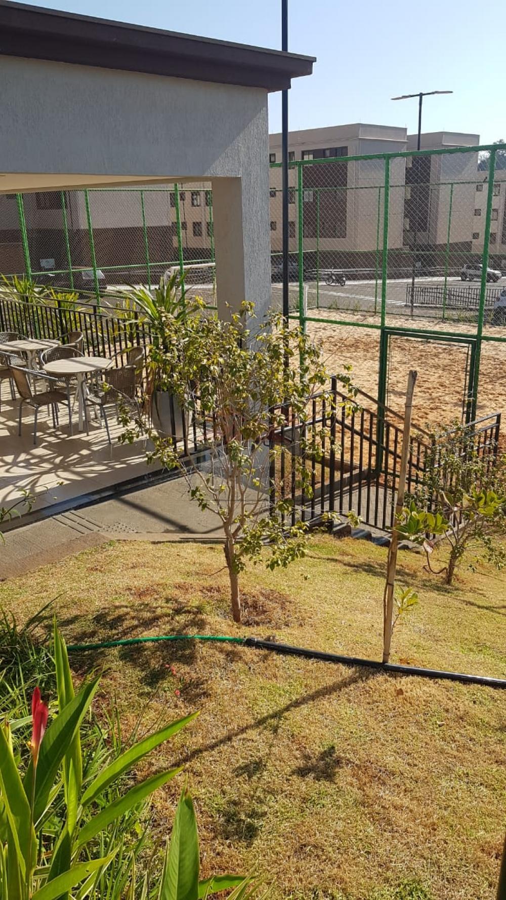 Alugar Apartamento / Padrão em Ribeirão Preto R$ 500,00 - Foto 14