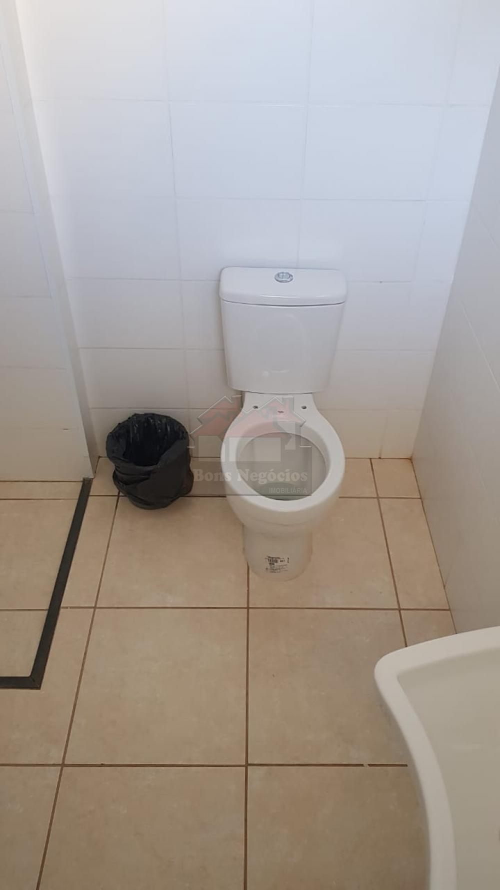 Alugar Apartamento / Padrão em Ribeirão Preto R$ 500,00 - Foto 16