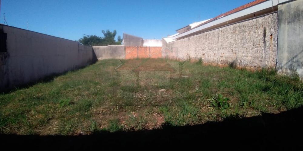 Comprar Terreno / Padrão em Ribeirão Preto R$ 240.000,00 - Foto 4