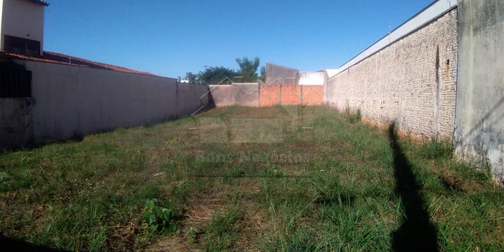 Comprar Terreno / Padrão em Ribeirão Preto R$ 240.000,00 - Foto 5