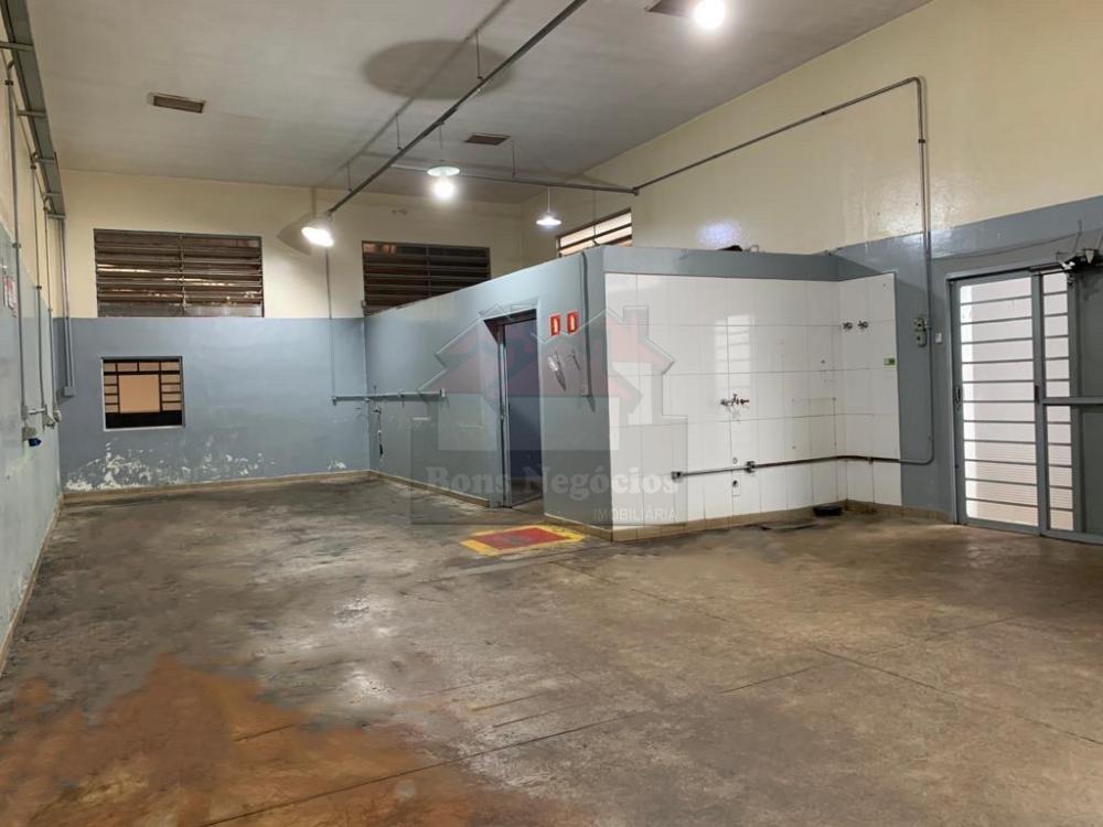 Alugar Comercial / Salão em Ribeirão Preto R$ 7.000,00 - Foto 5