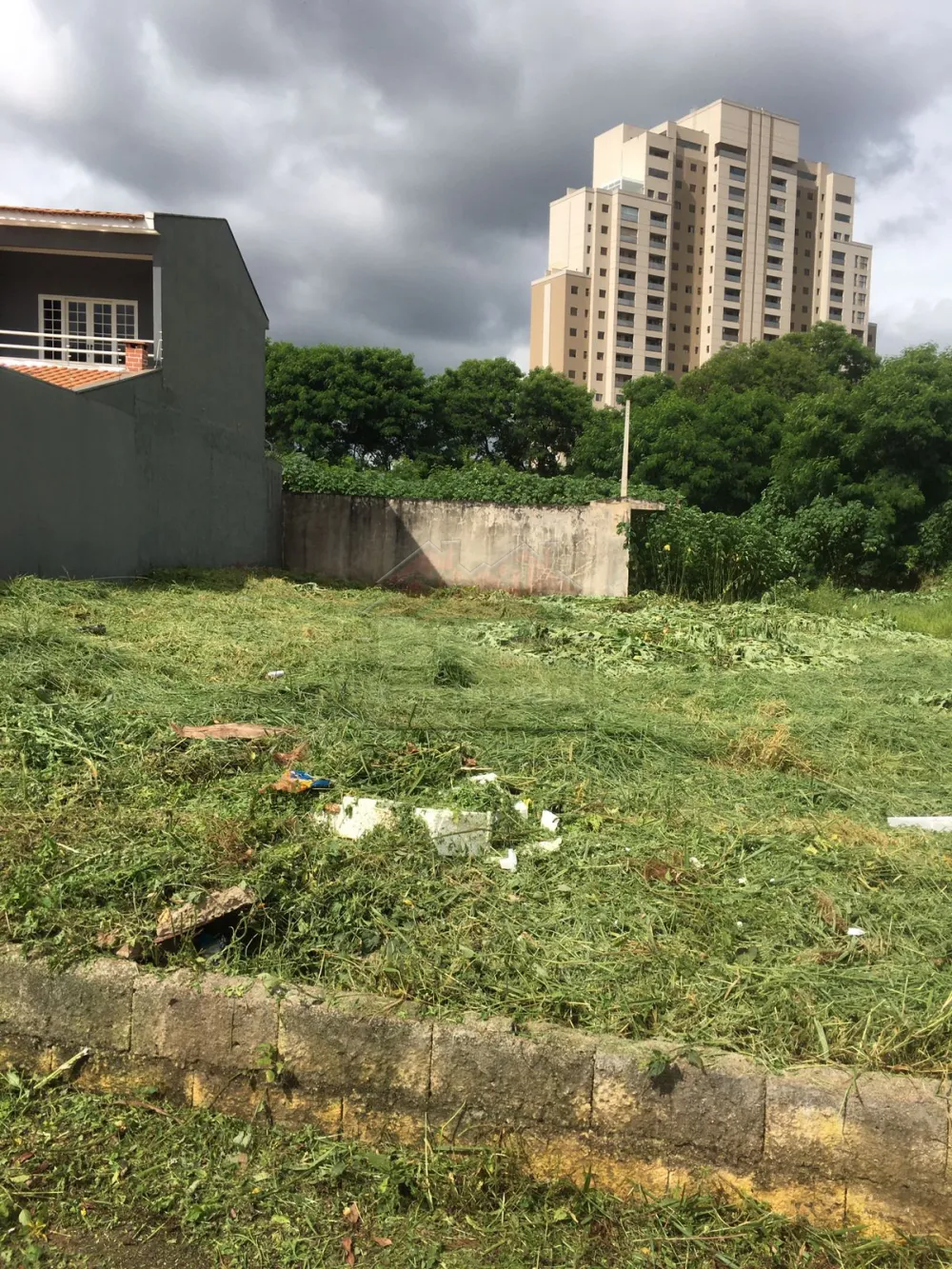 Comprar Terreno / Área em Ribeirão Preto R$ 219.500,00 - Foto 1