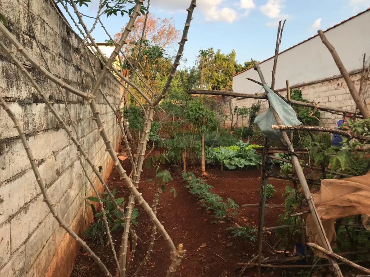 Comprar Terreno / Área em Ribeirão Preto R$ 160.000,00 - Foto 2