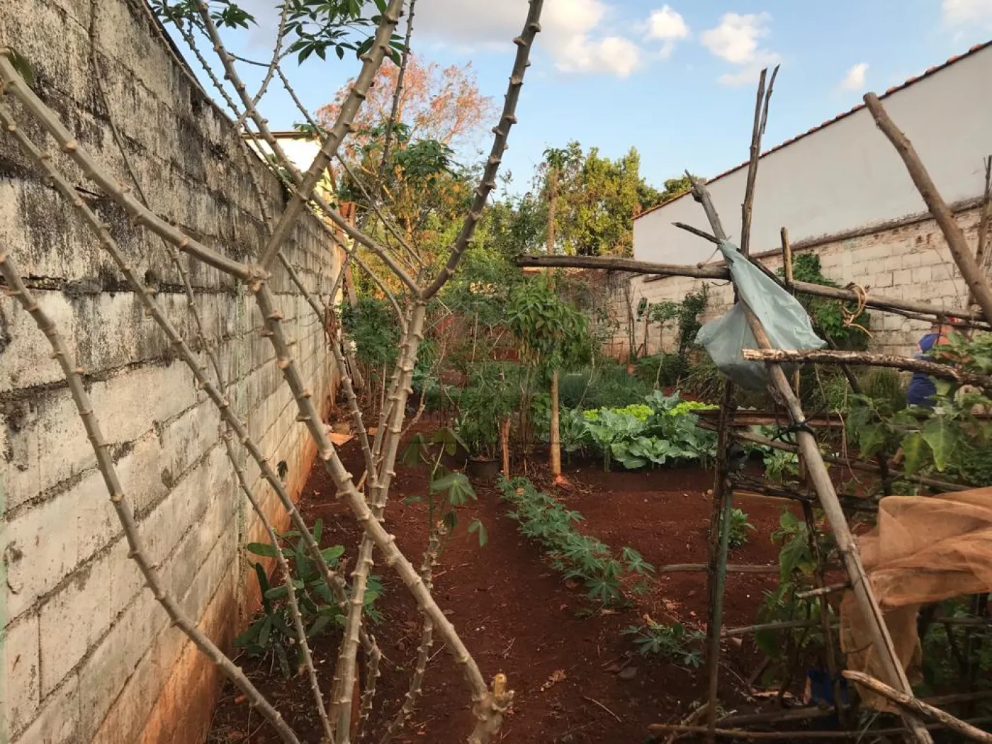 Comprar Terreno / Área em Ribeirão Preto R$ 160.000,00 - Foto 3