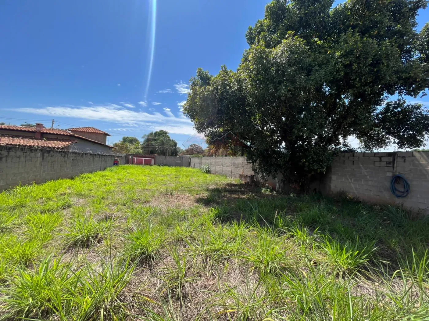 Comprar Terreno / Padrão em Ribeirão Preto R$ 270.000,00 - Foto 10