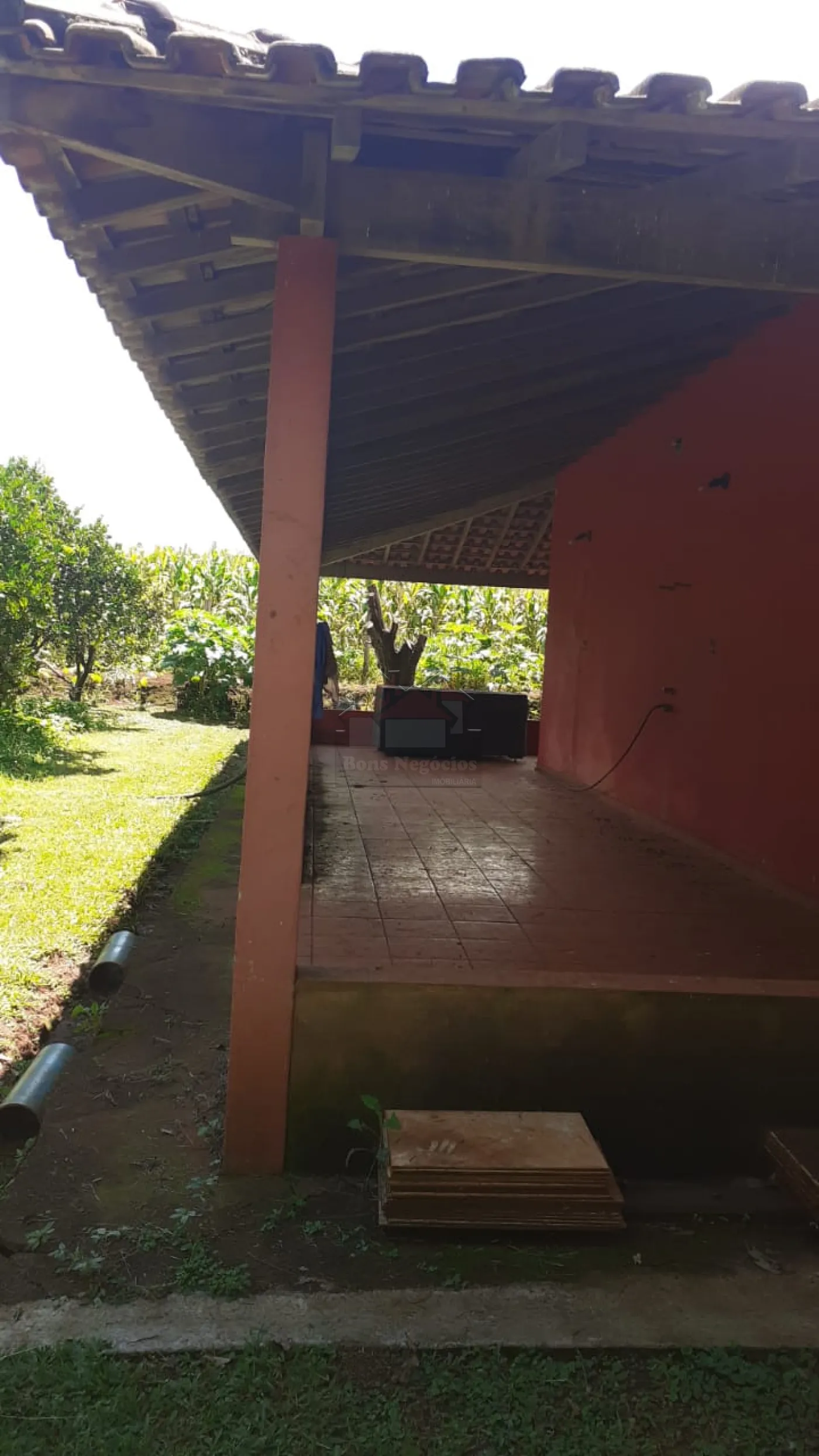 Comprar Rural / Sítio em Brodowski R$ 1.200.000,00 - Foto 1