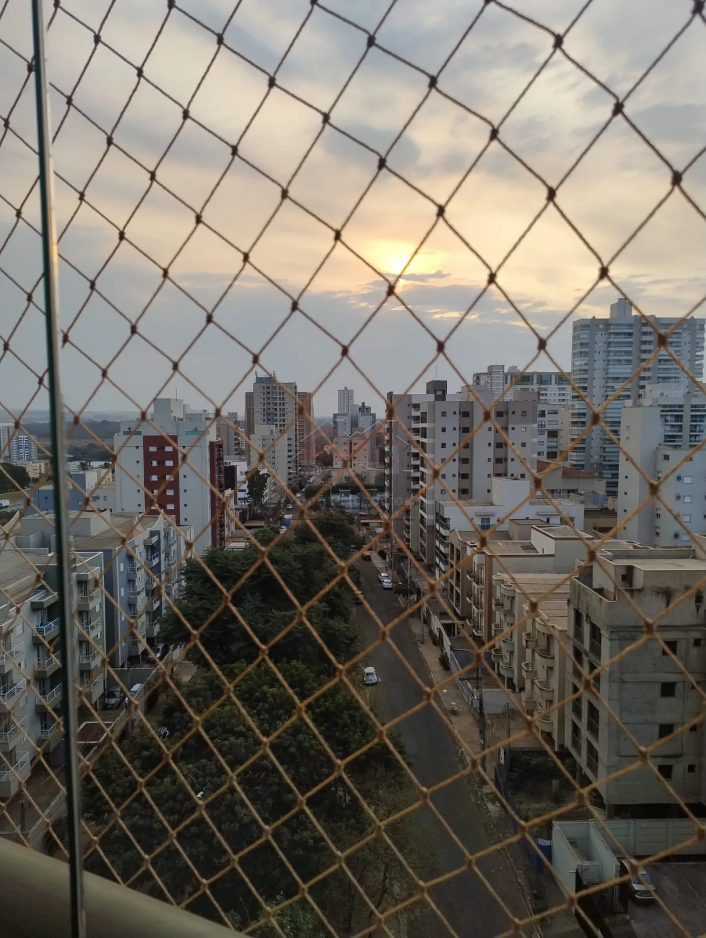 Alugar Apartamento / Padrão em Ribeirão Preto R$ 3.000,00 - Foto 16