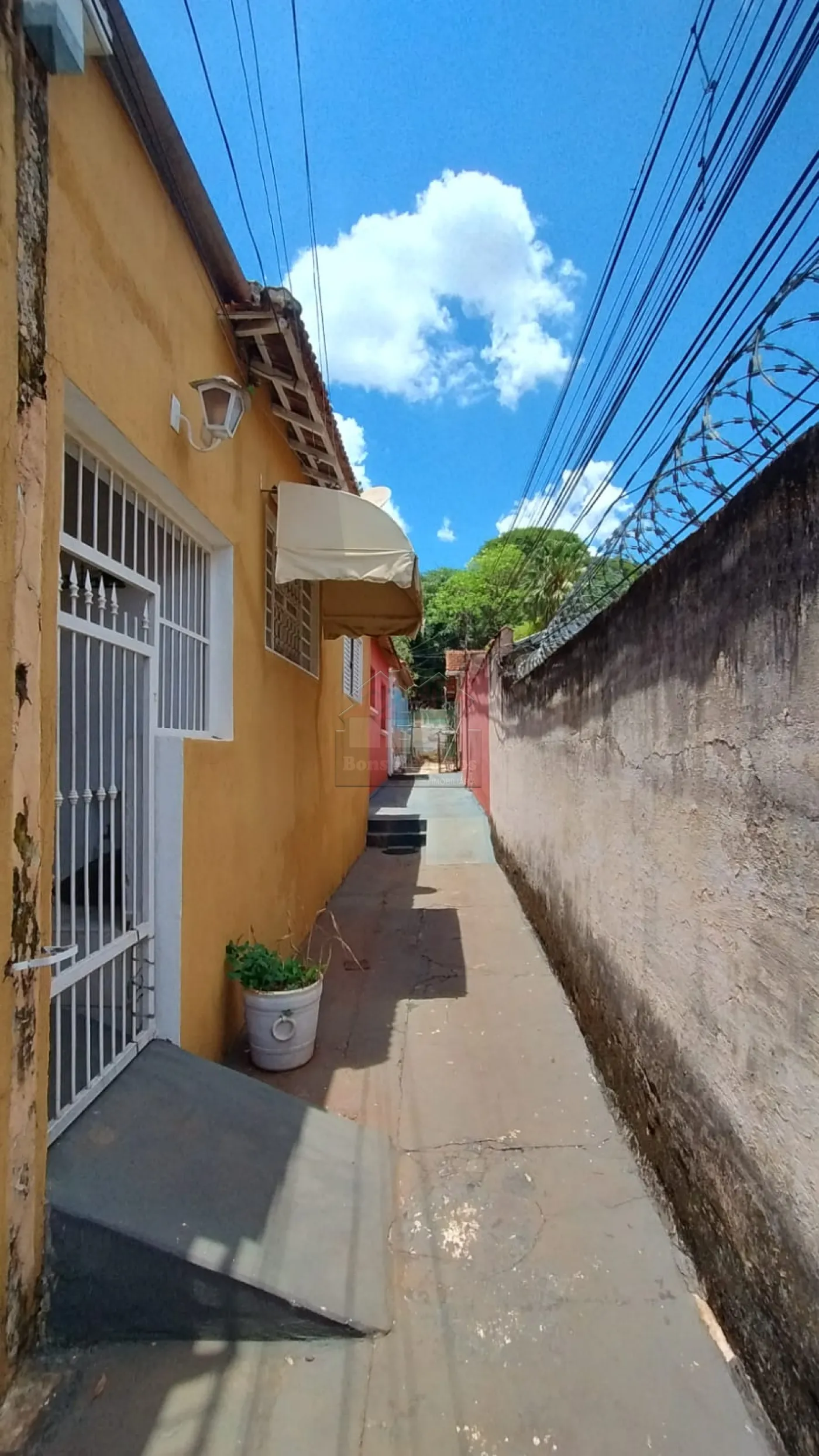 Alugar Casa / Padrão em Ribeirão Preto R$ 1.100,00 - Foto 8