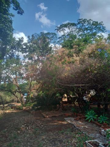 Comprar Rural / Chácara em Ribeirão Preto R$ 500.000,00 - Foto 4