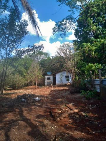 Comprar Rural / Chácara em Ribeirão Preto R$ 500.000,00 - Foto 6