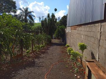 Alugar Rural / Chácara em Ribeirão Preto R$ 4.000,00 - Foto 10