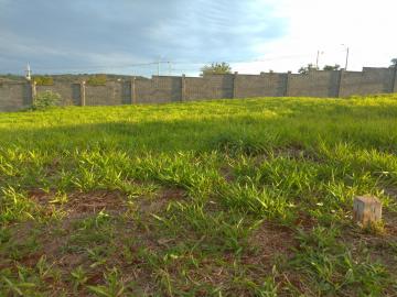 Comprar Terreno / Área em Ribeirão Preto R$ 75.000,00 - Foto 4