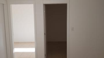 Alugar Apartamento / Padrão em Ribeirão Preto R$ 500,00 - Foto 13