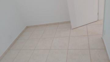 Alugar Apartamento / Padrão em Bonfim Paulista R$ 650,00 - Foto 8