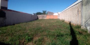 Comprar Terreno / Padrão em Ribeirão Preto R$ 240.000,00 - Foto 5