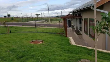 Comprar Terreno / Área em Ribeirão Preto R$ 195.000,00 - Foto 3