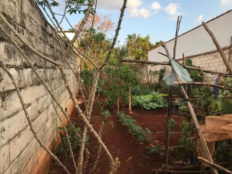 Comprar Terreno / Área em Ribeirão Preto R$ 160.000,00 - Foto 3