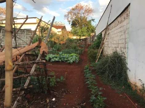 Comprar Terreno / Área em Ribeirão Preto R$ 160.000,00 - Foto 7