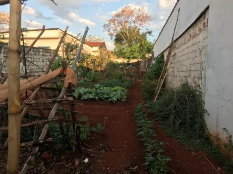 Comprar Terreno / Área em Ribeirão Preto R$ 160.000,00 - Foto 8