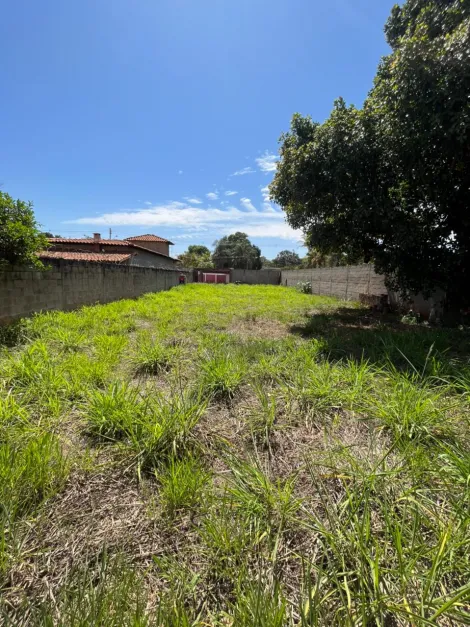 Comprar Terreno / Padrão em Ribeirão Preto R$ 270.000,00 - Foto 7