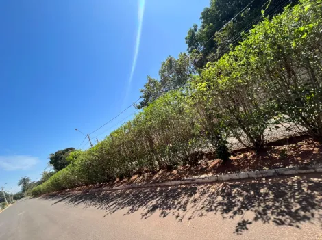 Comprar Terreno / Padrão em Ribeirão Preto R$ 270.000,00 - Foto 12