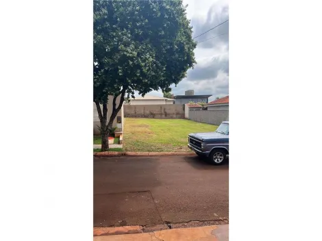 Comprar Terreno / Padrão em Cravinhos R$ 285.000,00 - Foto 4