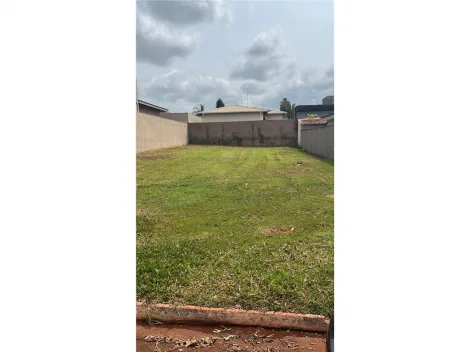 Comprar Terreno / Padrão em Cravinhos R$ 285.000,00 - Foto 7